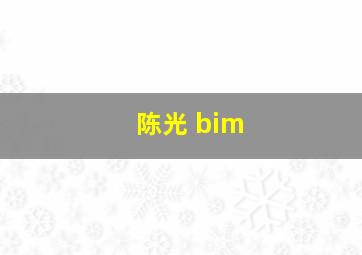 陈光 bim